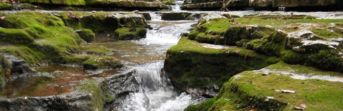 Raven Run Nature Sanctuary