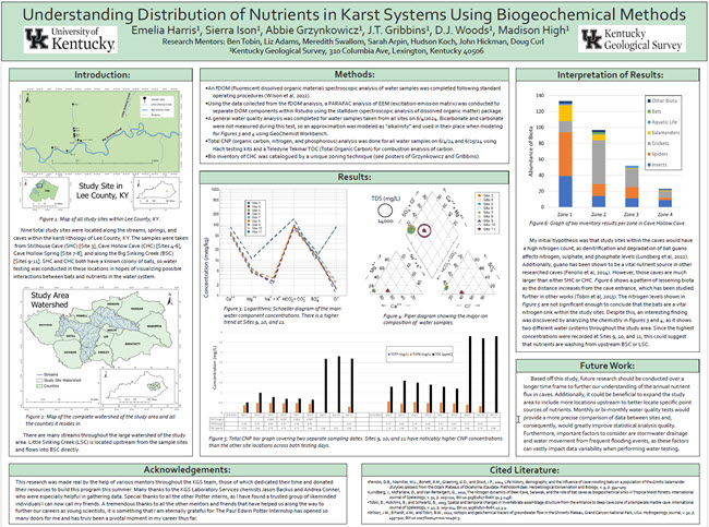 Impact of Red River Gorge's Structural Geology on Cave Passage Orientation