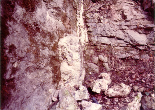 Shrylock Ferry Vein, Woodford County