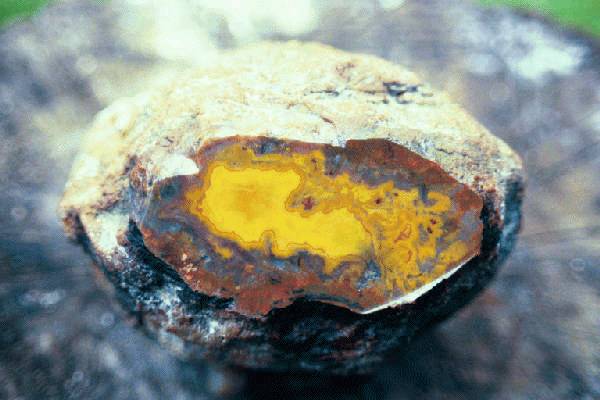 Kentucky Agate